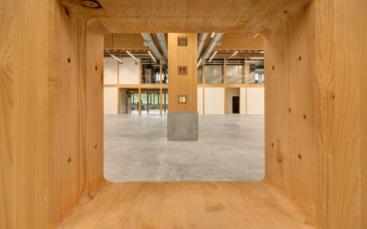 energieeffizienter Industriebau aus Holz _ Banz + riecks Architekten Bochum